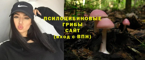 амф Баксан