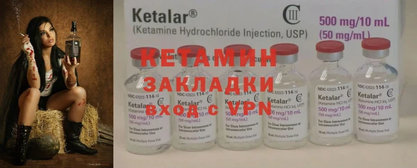 прущие грибы Балахна