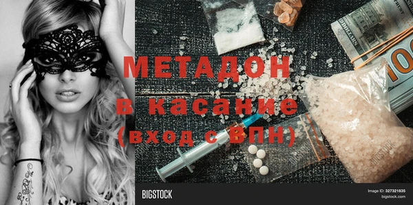 прущие грибы Балахна