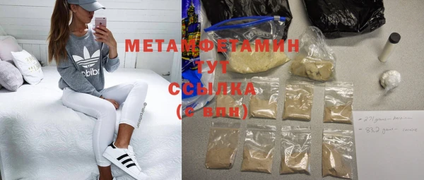 прущие грибы Балахна